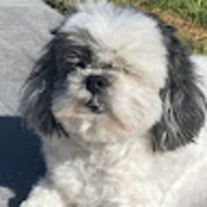 Meet your Posher, Helena